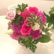 roseの画像
