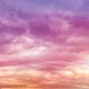 Sの画像