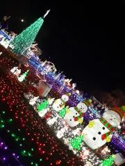 ☆  優  季  ☆の画像