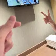 はとの画像