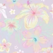 Lizの画像