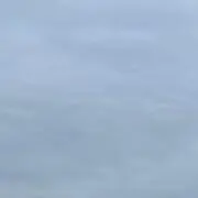 TOMATOの画像