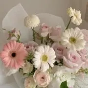 maiの画像