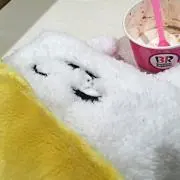 あやのすけ【ゆるく断捨離】の画像