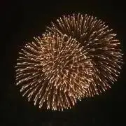 特売セール中交渉可能‼︎(プロフ必読の画像
