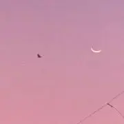 senの画像