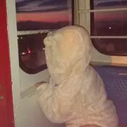 はまいしの画像