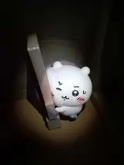 しょうの画像