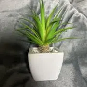 なべの画像