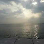 ogsrの画像