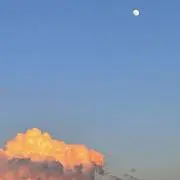 あうゆの画像