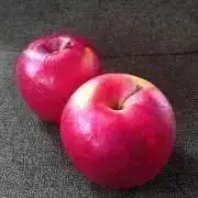 りんごの画像