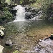 じょうじの画像
