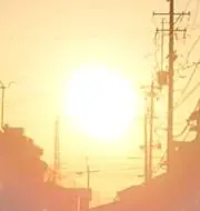 ねこすけの画像