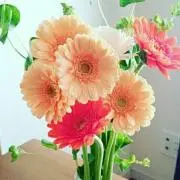 ☆RK☆【プロフご一読ください】の画像