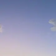 りんごの画像