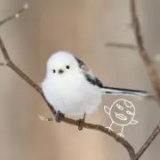 ILYの画像