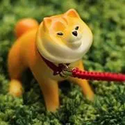 かんちゃんの画像