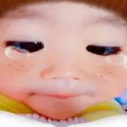 やまはるの画像