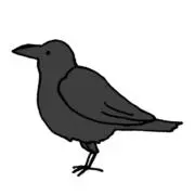 クロ《希少本》の画像