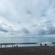 めぐの画像