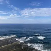 RYOの画像