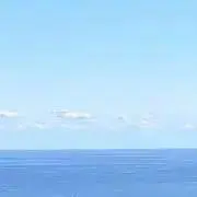 ちゃんの画像