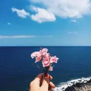 きゆ