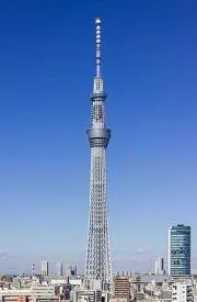 ゴンの画像