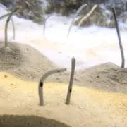 ゆ☺︎の画像