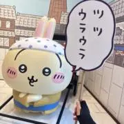 ぷるやの画像