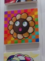 sinopi