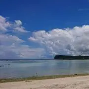 こにこの画像
