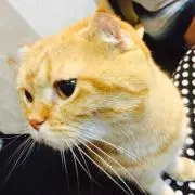 るー