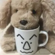 rock tatsu