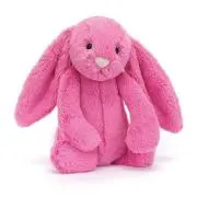 Bunnyの画像