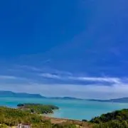 araraの画像