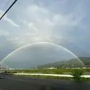 一番茶の画像