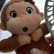 ちぇんの画像