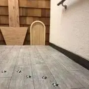 ▷マンチカン◁の画像