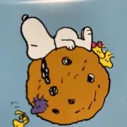 さっちんの画像