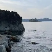 ハム之助の画像