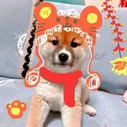 阿梦★〜10月末まで出品★の画像
