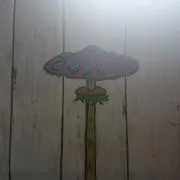 きみどりの画像