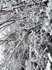 02222の画像
