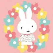 ☆miffy☆(*^▽^)☆の画像