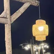 N
