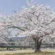 ❤️5月限定❤️✨セール品多数✨の画像