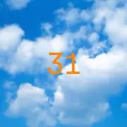 ヒマワリ　平日雨天時の発送は出来ませんの画像