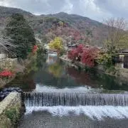 satsu-（※プロフ必読）の画像